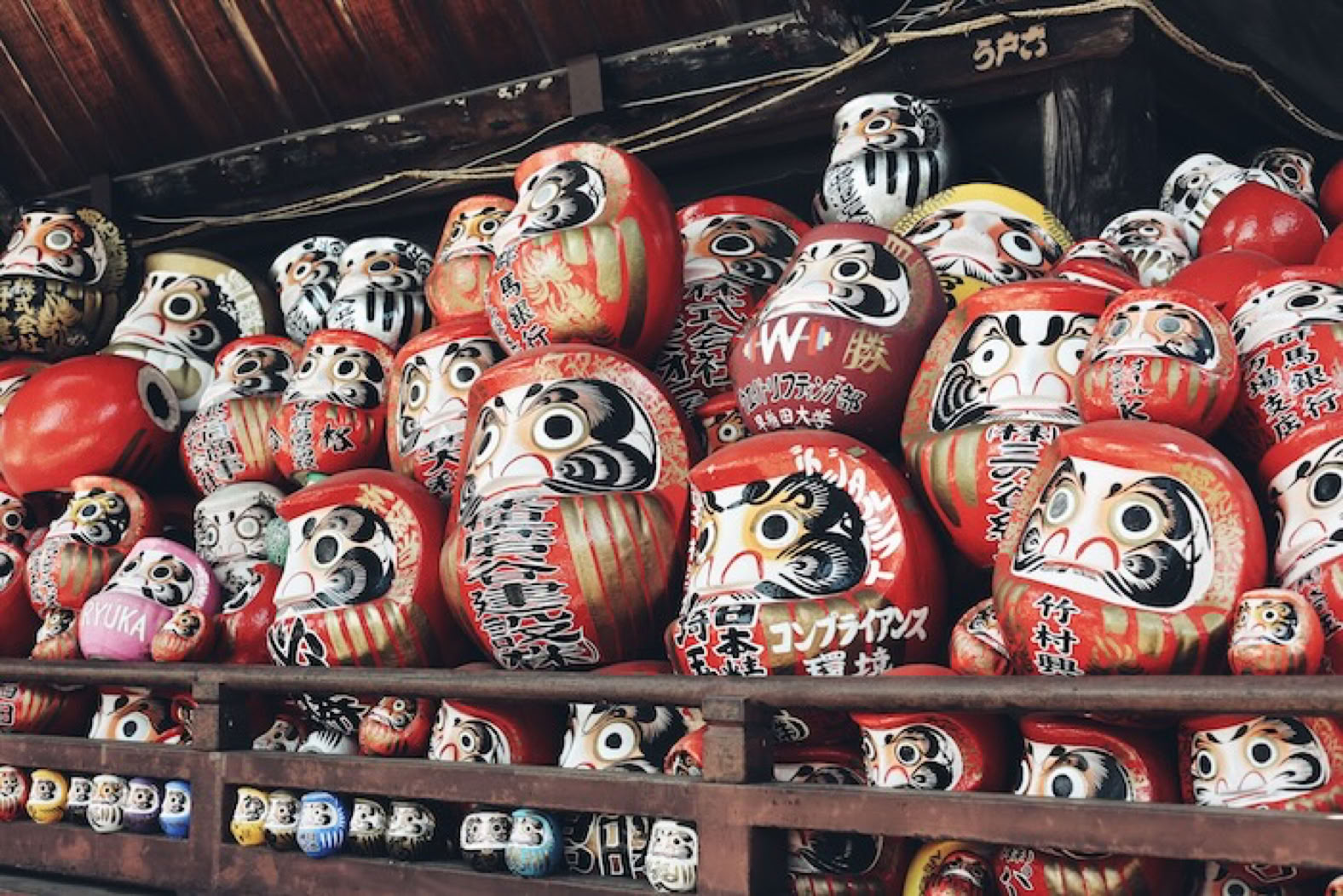 Iedereen in Japan kent Daruma
